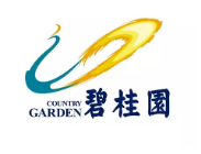 霞浦碧桂园地产